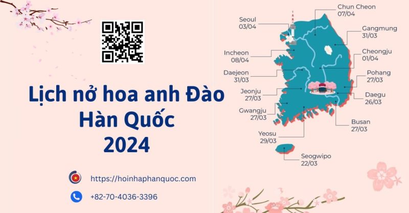 lich no hoa anh dao han quoc 2024 01