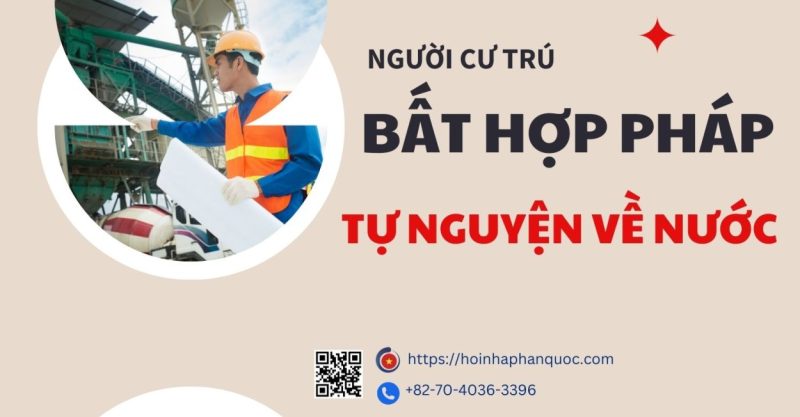 5 buoc cho nguoi cu tru bat hop phap tu nguyen ve nuoc 01