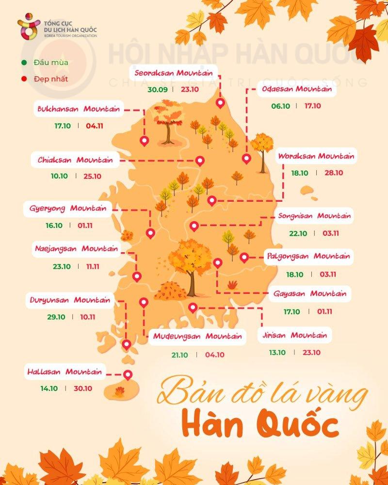 title Bản đồ mùa lá đỏ lá vàng Hàn Quốc mùa thu 2025. Ảnh: KTO