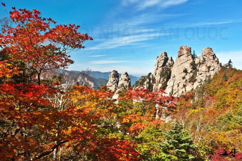 title Vườn Quốc gia Bukhansan là lựa chọn lý tưởng cho những ai muốn ngắm lá phong ở ngoại ô Seoul