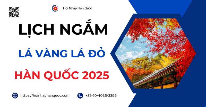 lich ngam la vang la do han quoc 2025 0